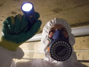 What is the cost of an asbestos survey?