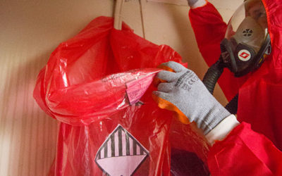 Asbestos removal licences and certifications in the UK: What you should look for