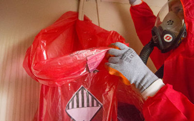 Asbestos removal licences and certifications in the UK: What should you look for?