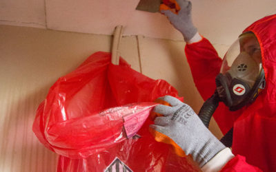 Asbestos Insulating Board Removal Cost Guide for 2025