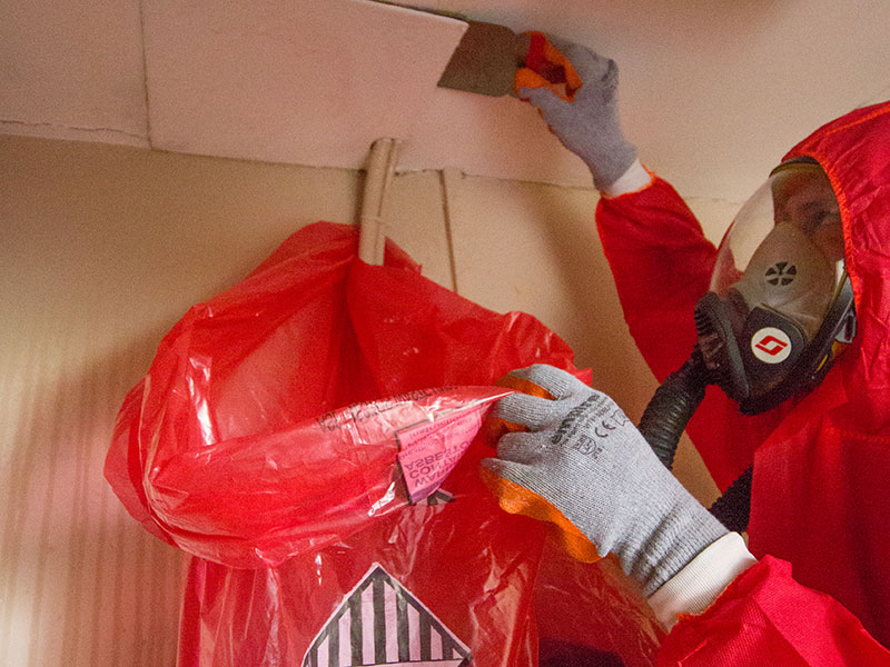 asbestos removal in student accommodation