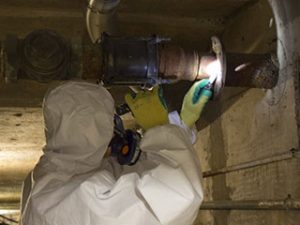 asbestos removal and surveys