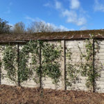 Asbestos removal from garages and sheds: What are the do’s and don’ts?