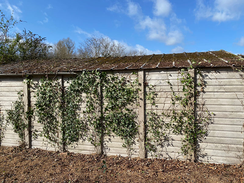 Asbestos removal from garages and sheds