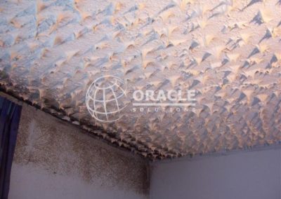 Gallery 8 - Textured and decorative coatings 2