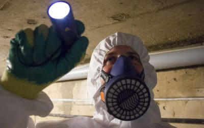 Do I need an asbestos survey?