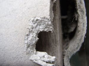 Asbestos Density Testing 1