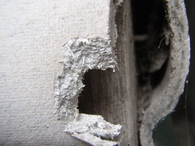 asbestos removal