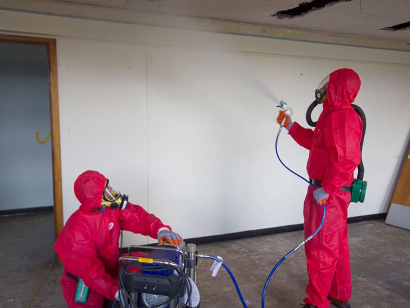 Asbestos abatement professionals