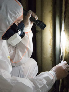 Asbestos Testing Cost