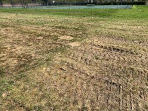 contaminated land survey