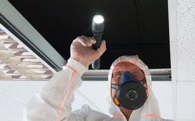 What does an asbestos survey involve?