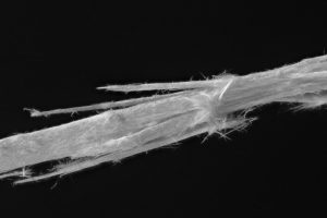 types of asbestos fibres - Chrysotile asbestos