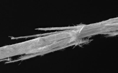 How long does asbestos stay airborne once disturbed?