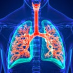 Its Lung Cancer Awareness Month: Don’t forget asbestos can cause lung cancer, too