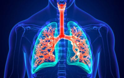 Its Lung Cancer Awareness Month: Don’t forget asbestos can cause lung cancer too