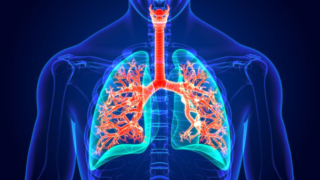 Asbestos Health Effects 1