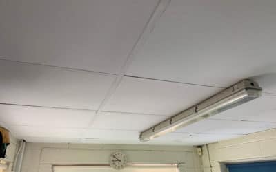 Asbestos Ceilings & Ceiling Tile Removal Cost Guide for 2025