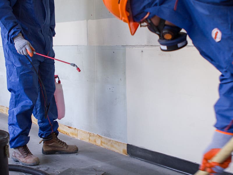 local asbestos removal experts