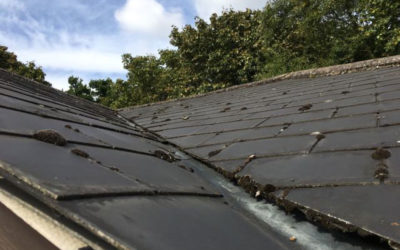 Asbestos Roof Tile Removal Cost Guide for 2022