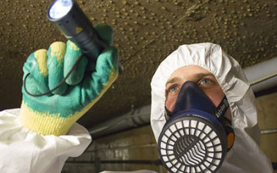 Why You Need Asbestos Auditing of Non Licensed Trained Workers