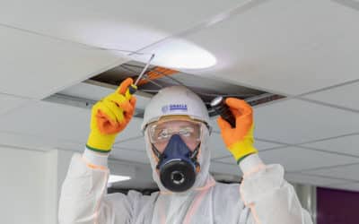 What does the job of an asbestos surveyor involve?