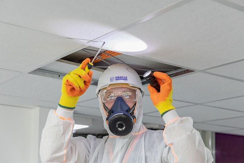 What does the job of an asbestos surveyor involve?