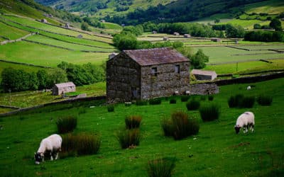 What are the legal obligations for managing asbestos on farms?