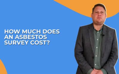 How Much Does an Asbestos Survey Cost?