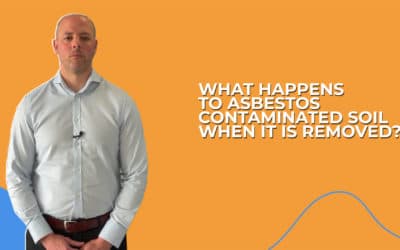 What Happens To Asbestos-Contaminated Soil When It Is Removed?