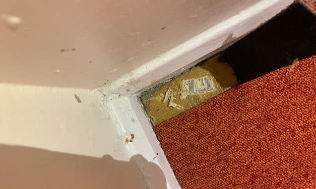 Case Study: Safeguarding a Food Production Facility with Expert Asbestos Management